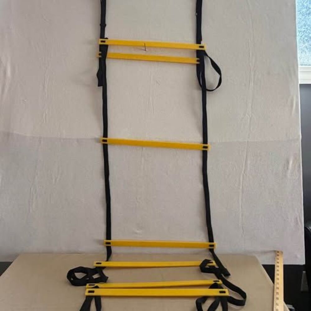 Agility Training Ladder
